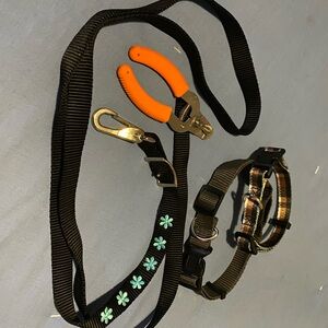 Black Dog Leash and Collar Set x2 with Orange Claw Clipper